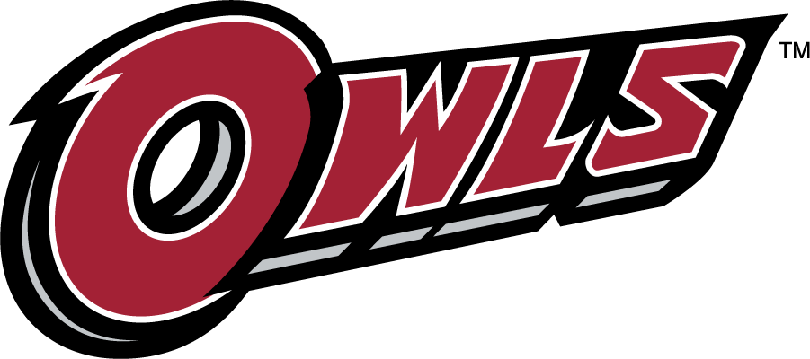 Temple Owls 2014-2020 Wordmark Logo diy iron on heat transfer